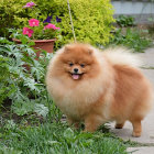 Fluffy teddy bear with flower collar in garden setting.