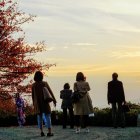 Silhouetted Figures Walking in Vibrant Autumn Scene