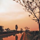 Tranquil countryside road painting at sunset with colorful nature elements