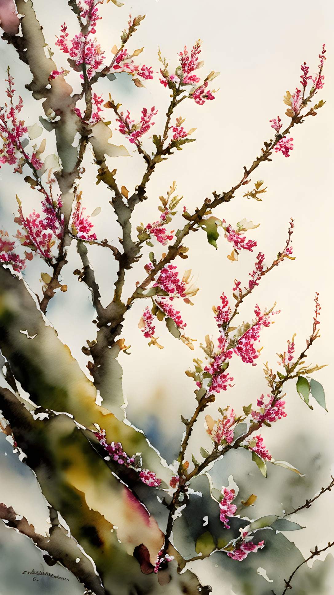 Blooming tree watercolor painting with pink flowers and green leaves