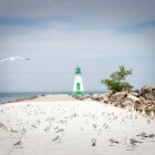 Tranquil beach landscape with lighthouse, seagulls, and seashells