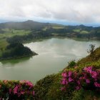 Serene lake landscape with green hills and wildflowers