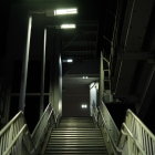 Eerie wooden staircase in dim light with overgrown foliage