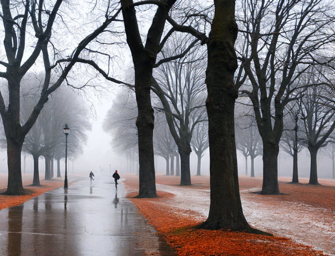 Foggy park scene with bare trees, wet paths, person walking, and fallen orange leaves.