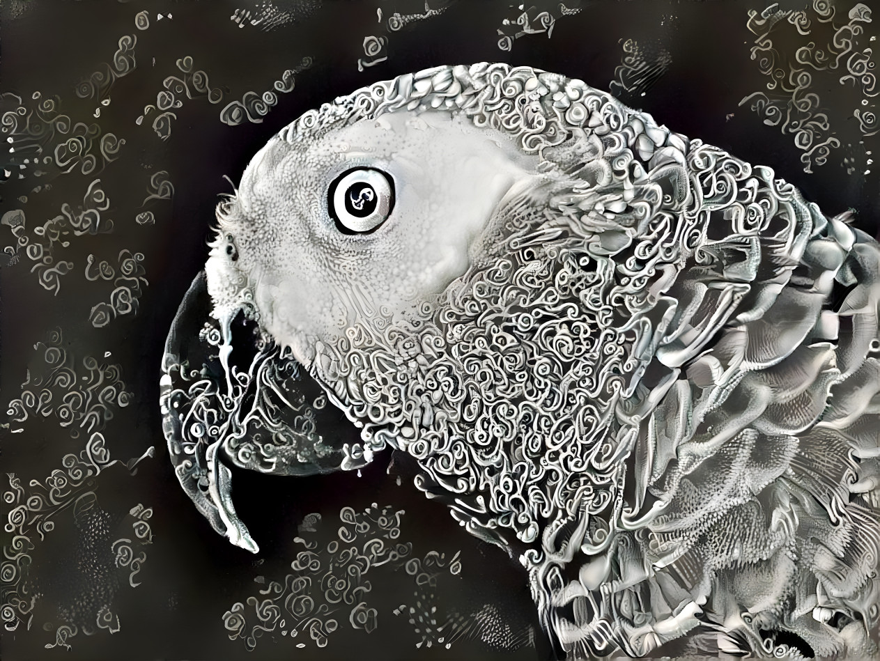 $-eyed parrot, monochrome