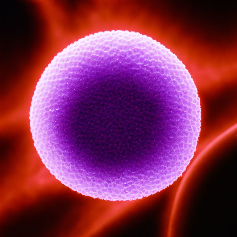 Purple Textured Spherical Object on Dark Background