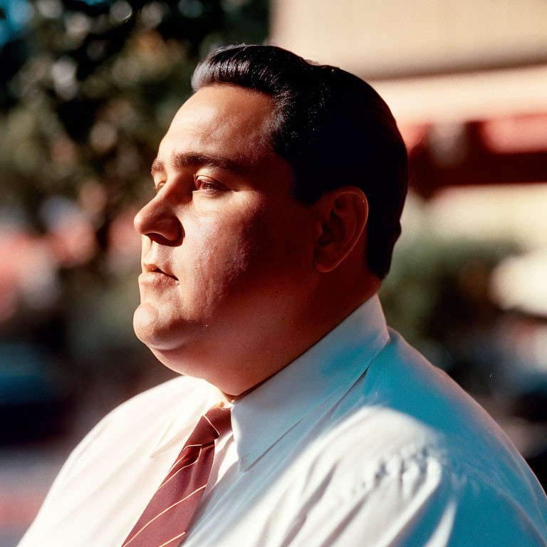 Profile View of Man in Dress Shirt and Tie with Warm Sunlight Casting Tones