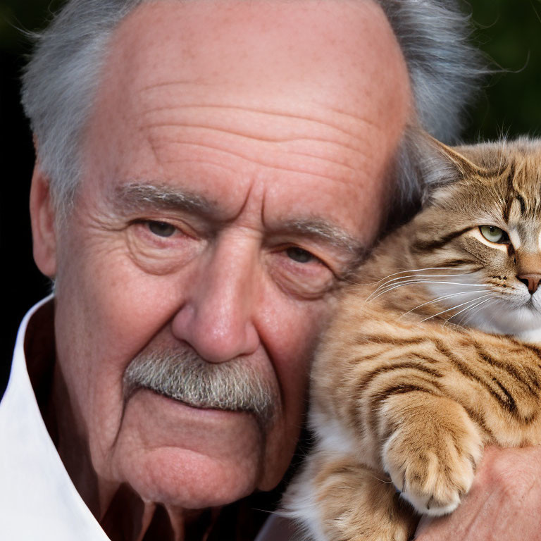 Elderly Man with Mustache Holding Striped Cat in White Shirt