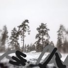 Serene winter landscape with snow-covered pine trees