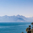 Tranquil Seascape with Fluffy Clouds and Bountiful Grapes