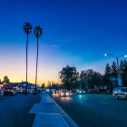 Scenic highway at dusk with cars, vibrant flowers, and colorful sky