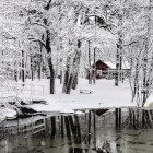 Snowy forest cabin by tranquil pond in serene winter setting