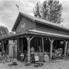 Monochrome image of rustic cabin with pumpkins in eerie forest