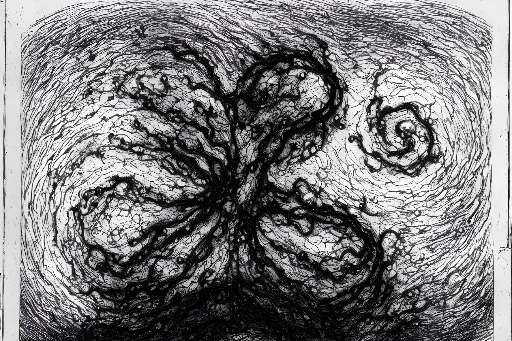 Abstract black and white ink drawing with intricate organic swirls and textures.