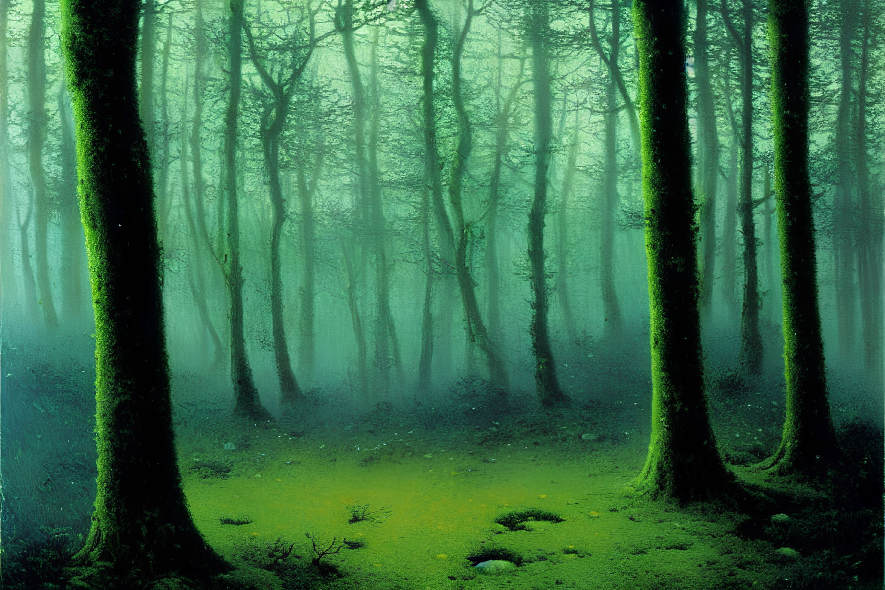 Mystical green forest with dense fog and tall trees