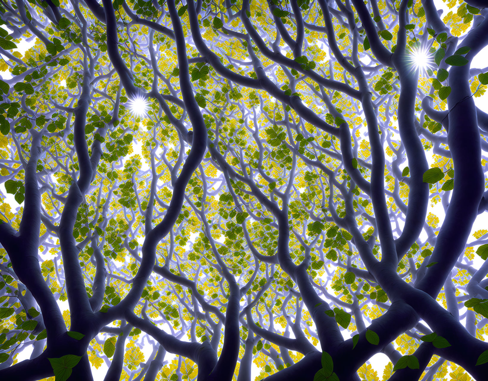 Sunlit sky with lush green leaves and dark tree branches interwoven