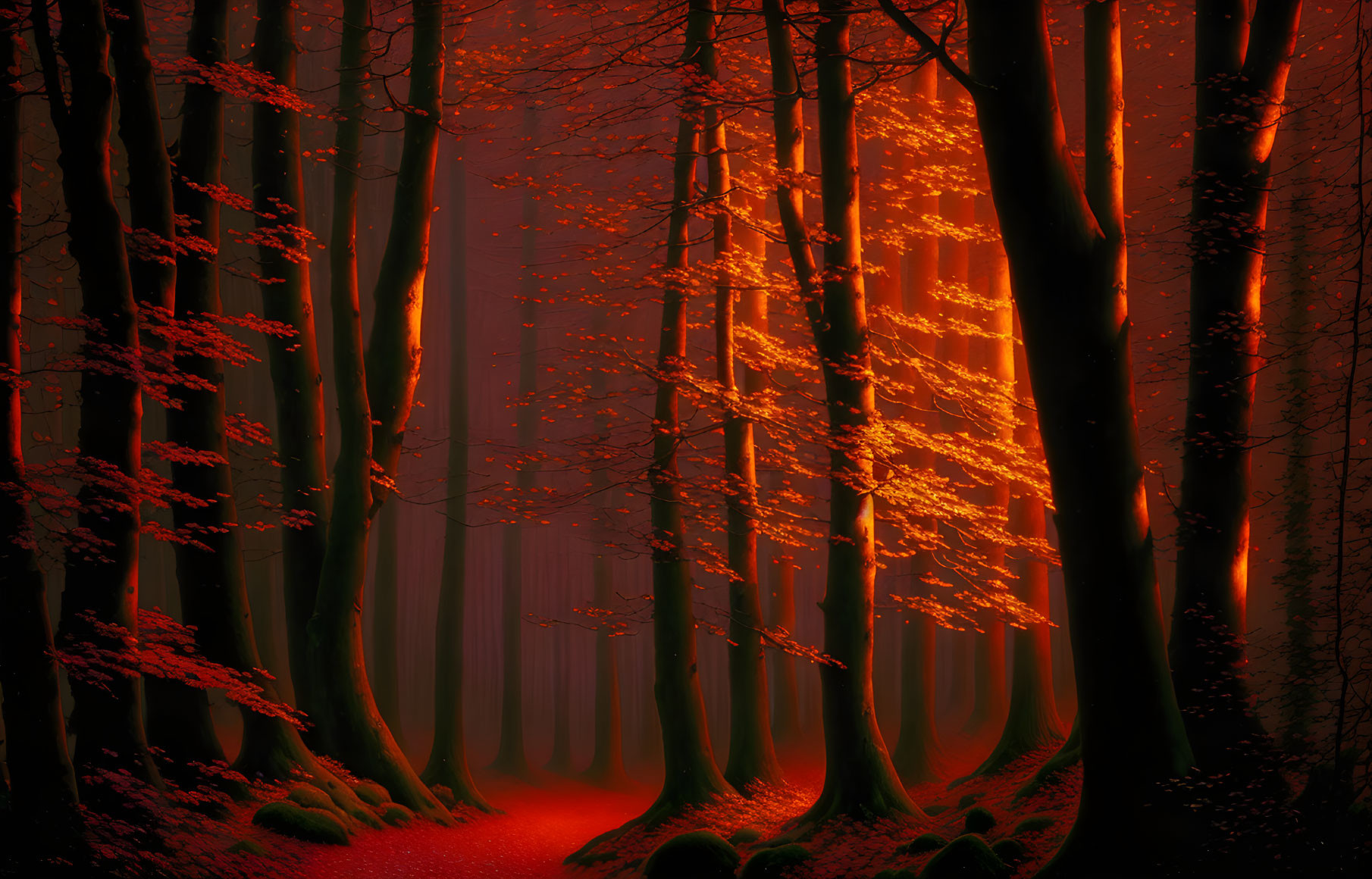 Enchanted forest with tall, fiery trees in red and orange glow