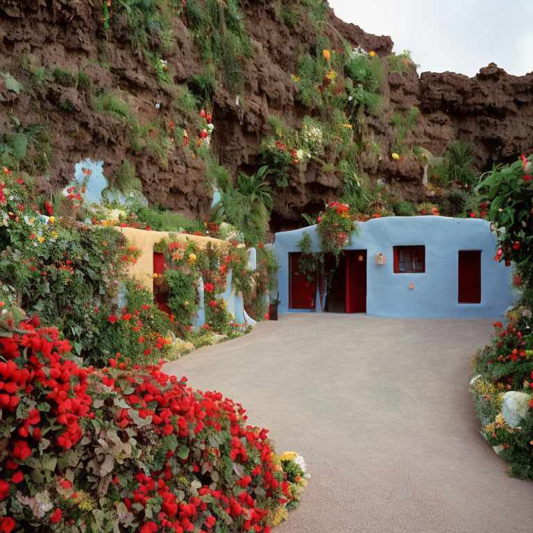 Blue House with Red Door Surrounded by Flowers and Rocks