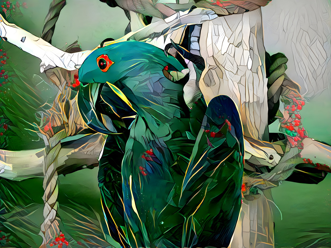 Parrot