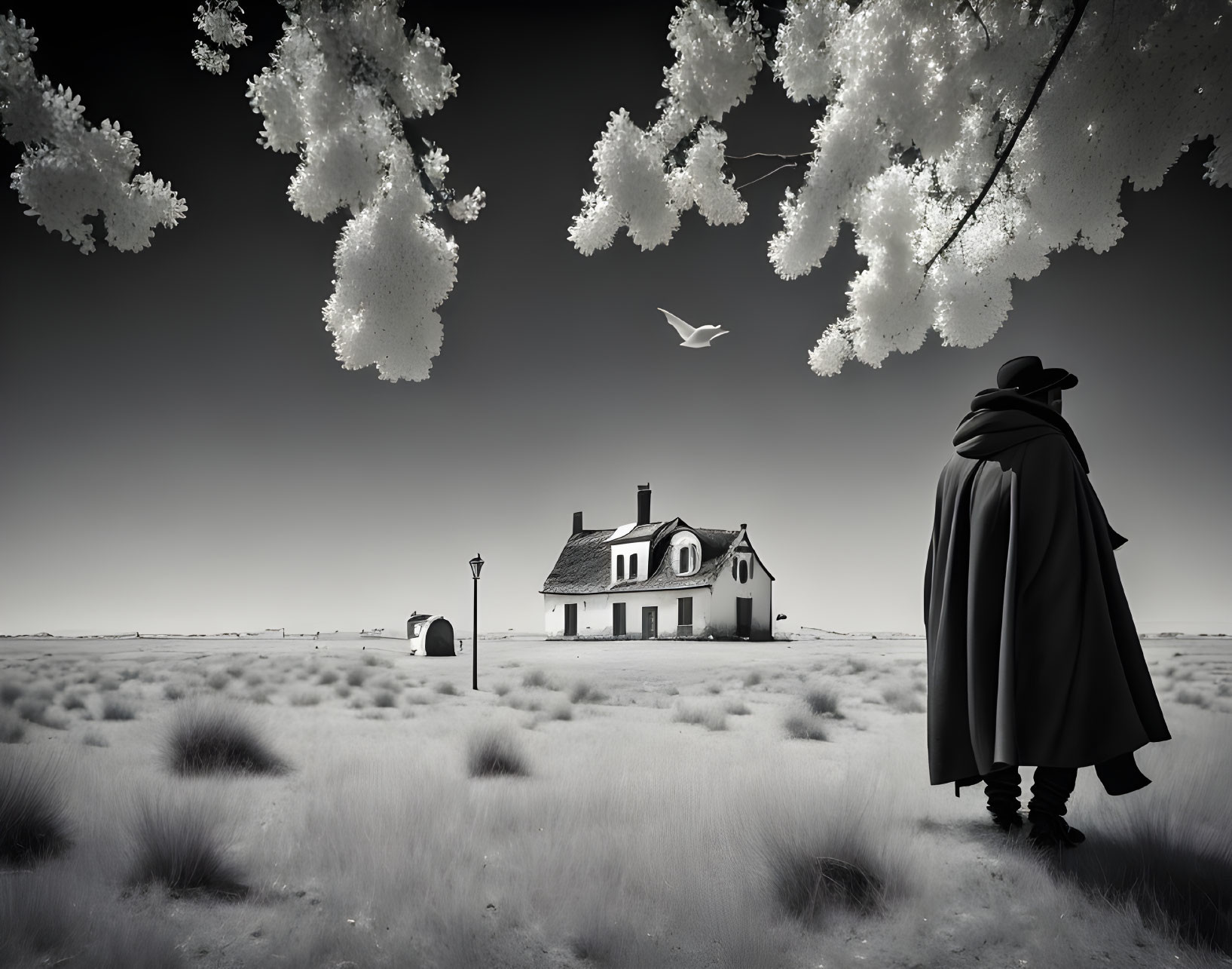 Monochrome artistic image of cloaked figure in field with house, mailbox, and surreal flowers