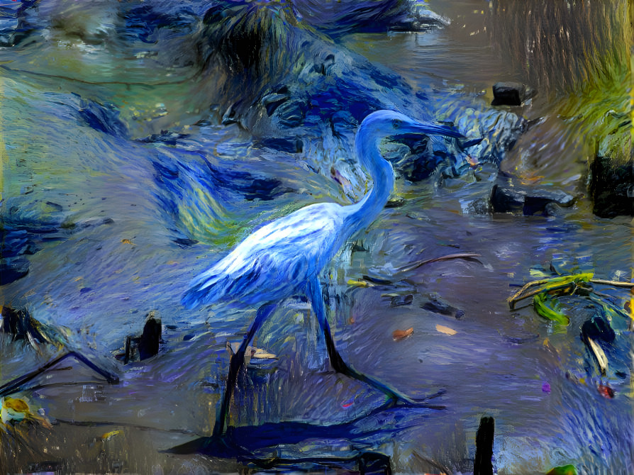 Blue Egret