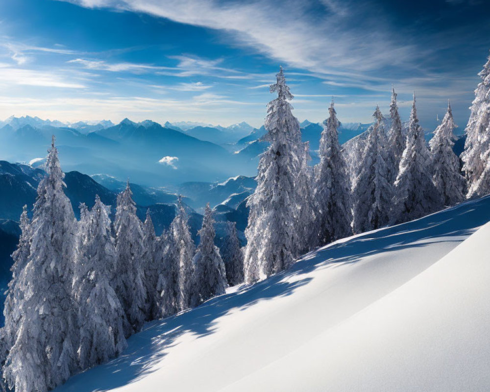 Winter scene: snow-covered trees on mountain slope, clear blue skies, distant snow-covered mountain range.