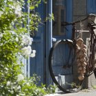 Two women in vintage attire with floral background, one by blooming vines, the other with a bicycle