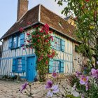 Thatched Roof Cottage with Blue Shutters and Roses in Bloom