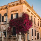 Whimsical two-story corner building with red ivy and blue shutters