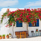 White Building with Blue Doors and Pink Bougainvillea Under Blue Sky