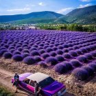 Vintage Purple Car Parked by Lavender Field with Person Admiring Landscape
