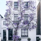 Colorful mural featuring purple tree with patterned fruits beside blue building.