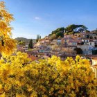 Vibrant village scene with orange-roofed houses and lush greenery