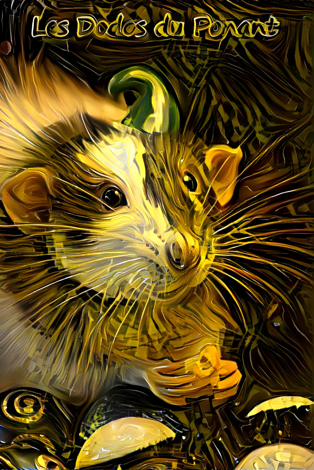 rat