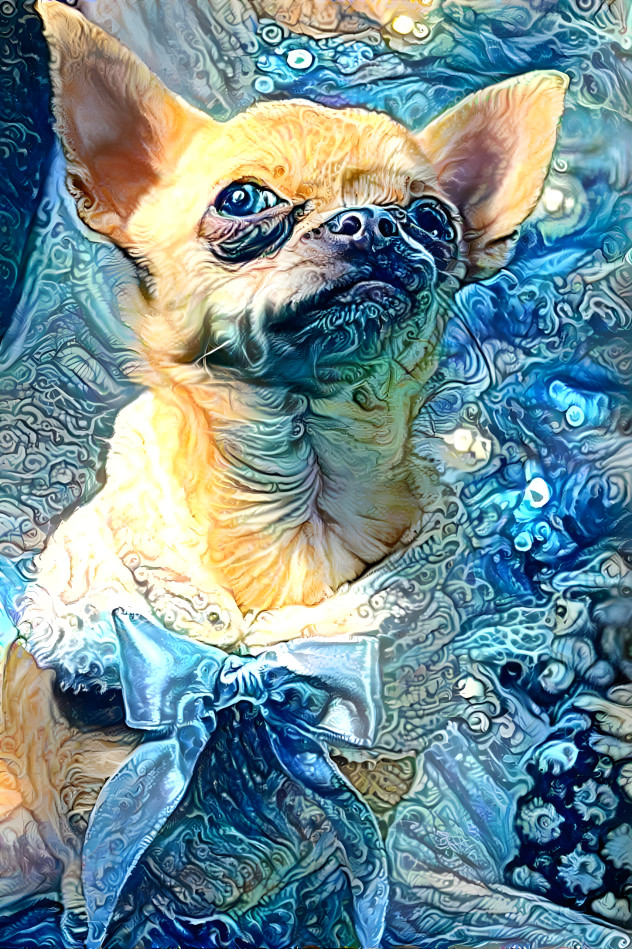 Chihuahua