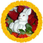 White Rabbit Among Strawberries and Yellow Flowers in Circular Border