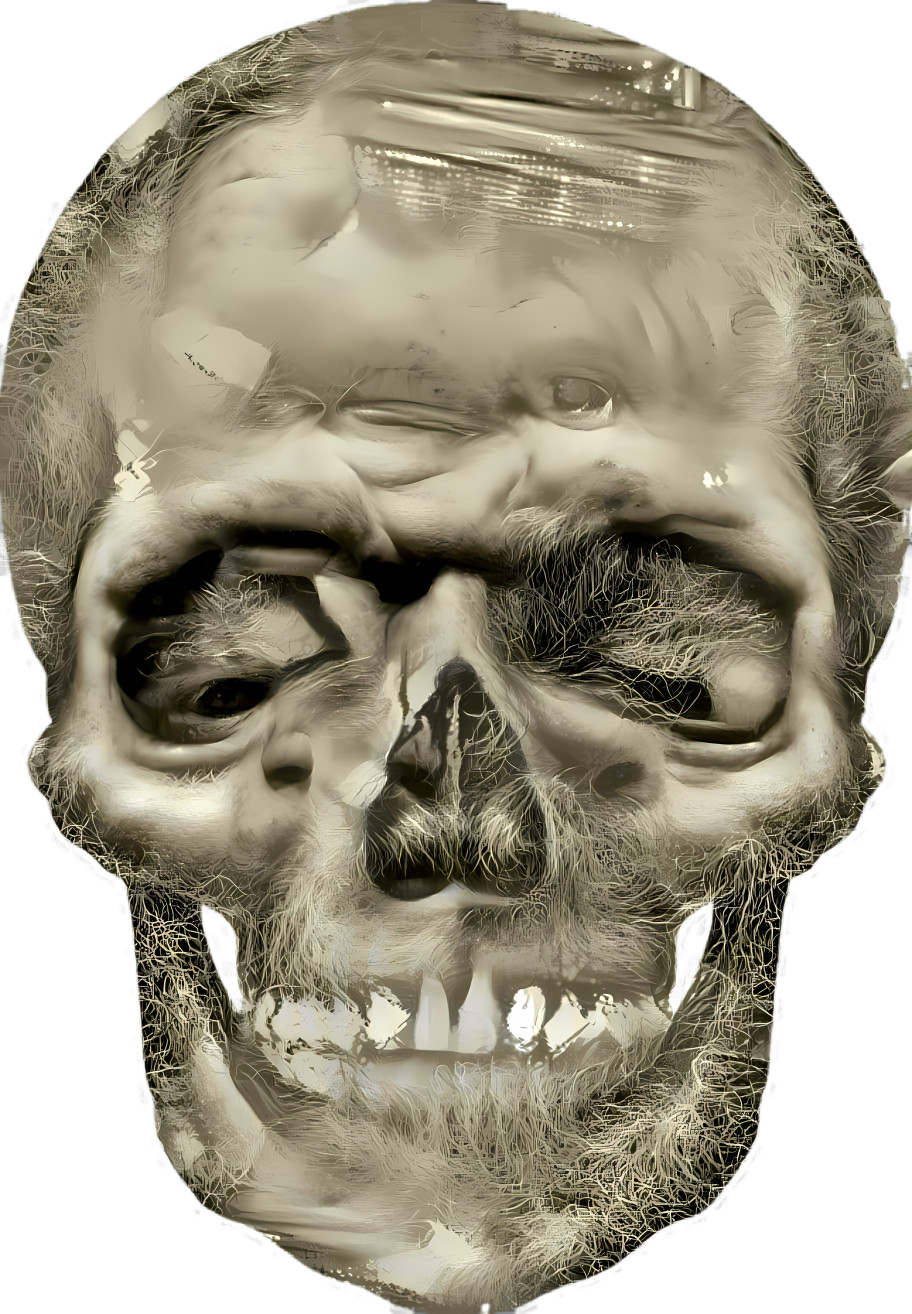 Skull 