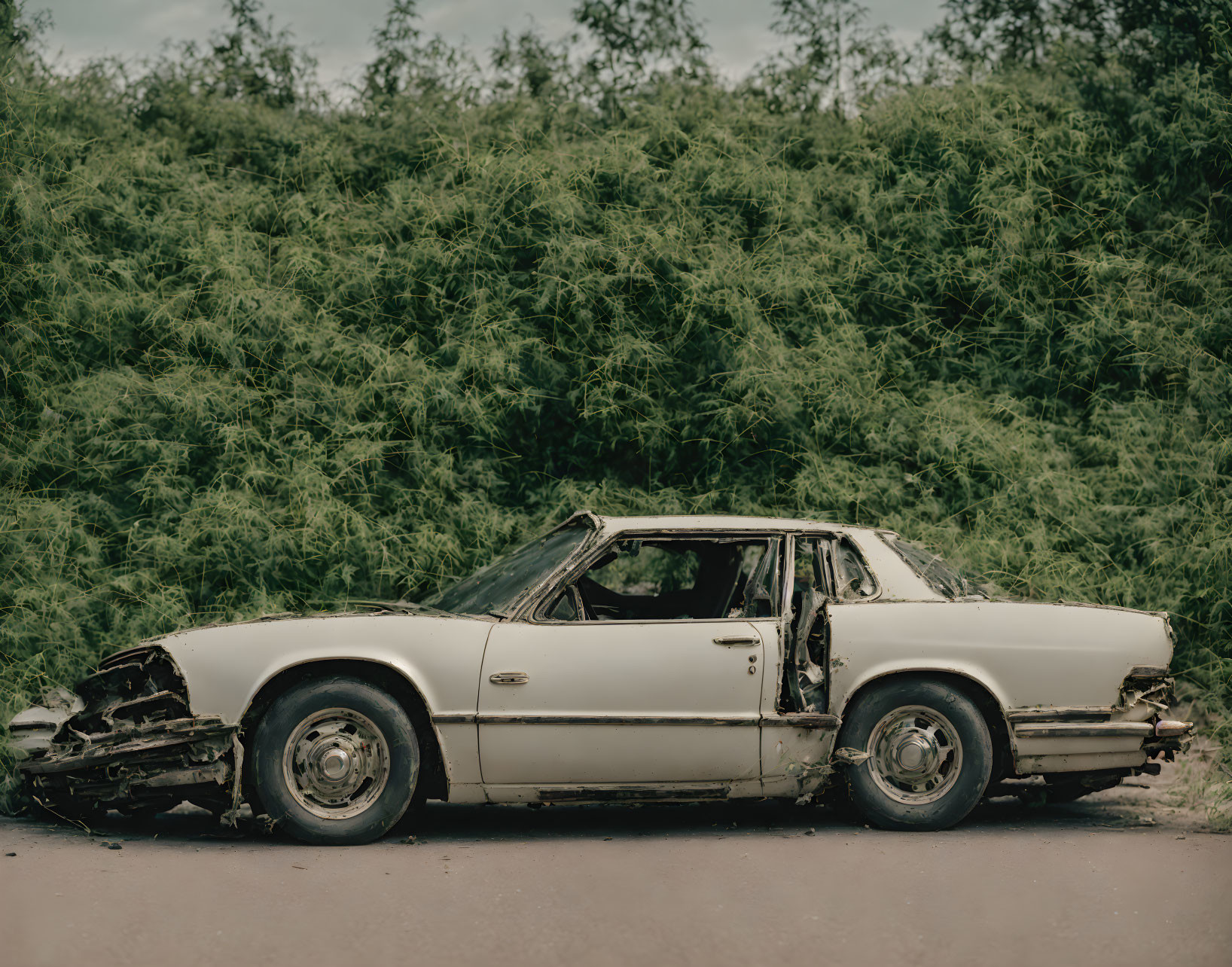 Damaged white car in dense green shrubbery