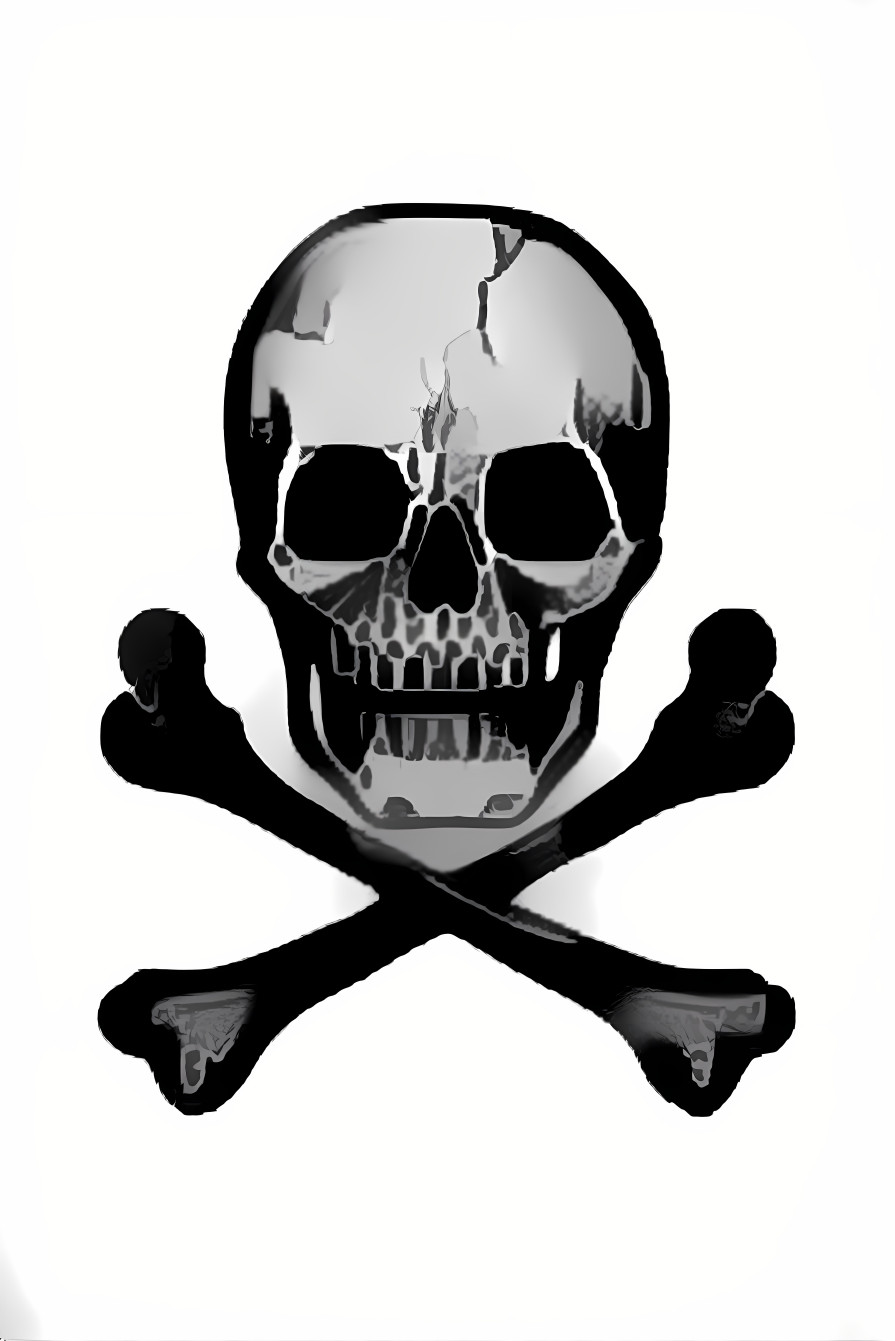 Skull n Bones