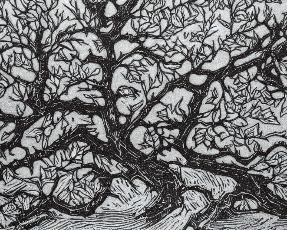 Detailed monochrome etching of intertwining tree branches and leaves