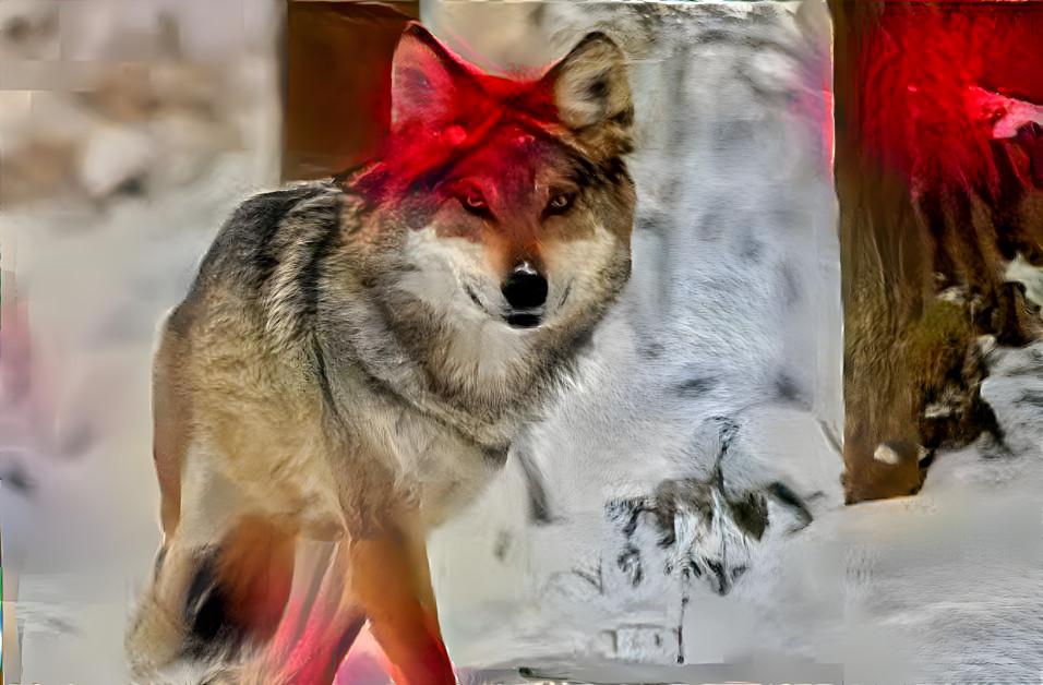 Red Wolf