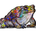 Colorful Frog Illustration with Detailed Shading on White Background