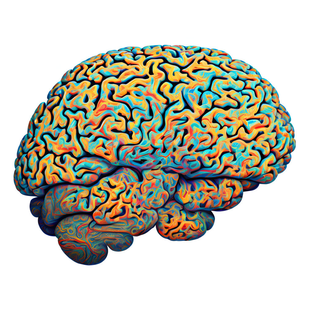 Vibrant human brain illustration with colorful swirling patterns