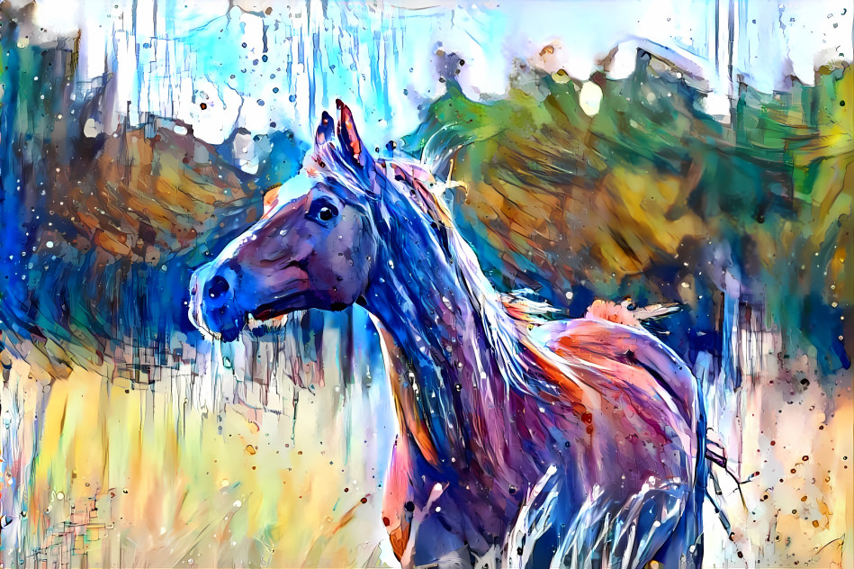 Horse with no name.