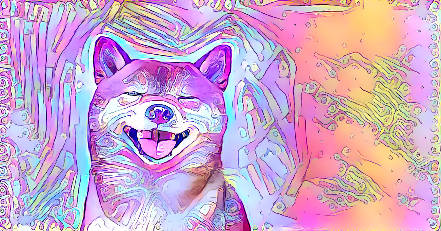 Shiba in a Dream