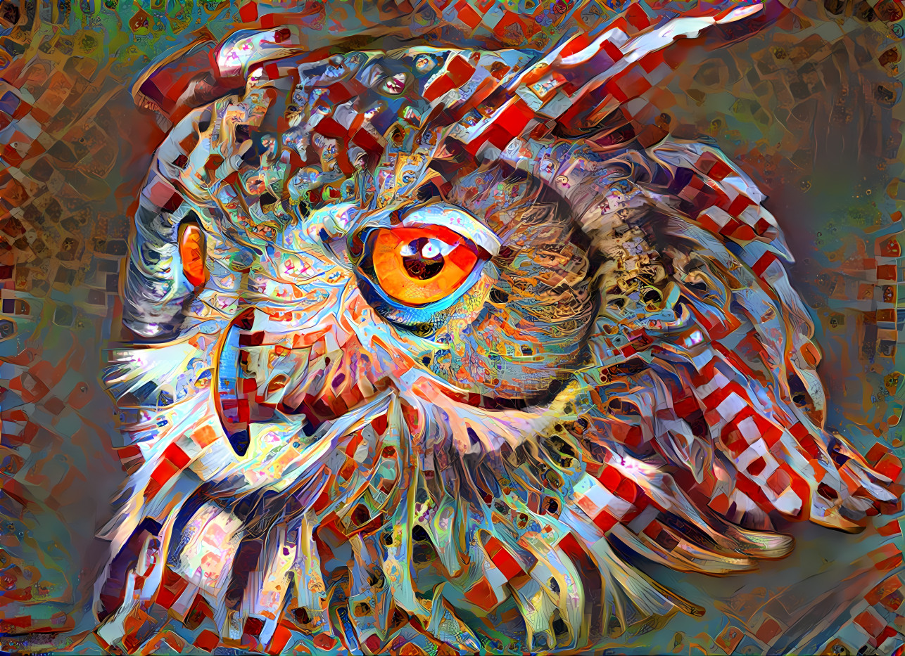 Owl