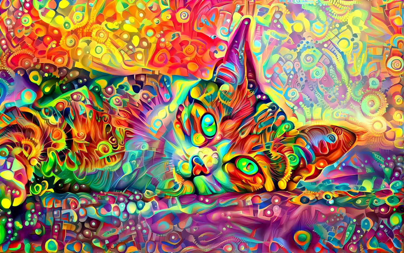 Psychedelic Cat