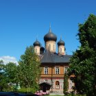 Traditional Blue-Domed Church Surrounded by Greenery and Blue Flowers