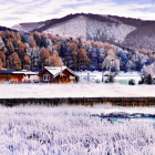 Snowy village landscape with cozy houses and frost-covered trees