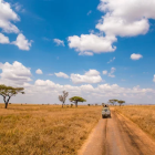 Tranquil desert landscape with dusty road and acacia trees